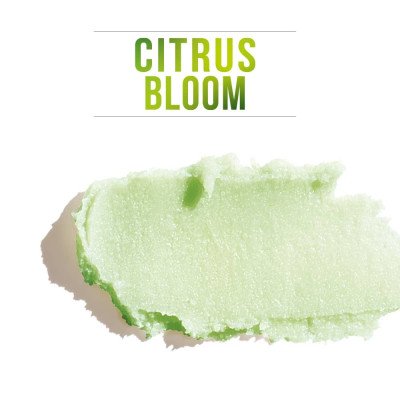 Italwax - Sverige 250ml Skrubb - Citrus Bloom - Miraveda - Italwax Italwax - Sverige 250ml Skrubb - Citrus Bloom - Miraveda - Italwax